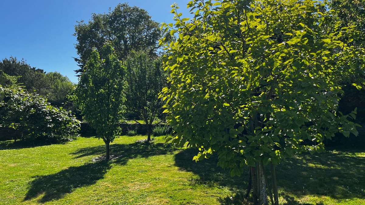 MiniTycha, séjour romantique dans une maison avec jardin et terrasse au bord de l'océan - Photo 10